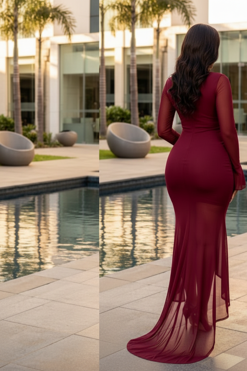 Burgundy Mesh Dress - Back View